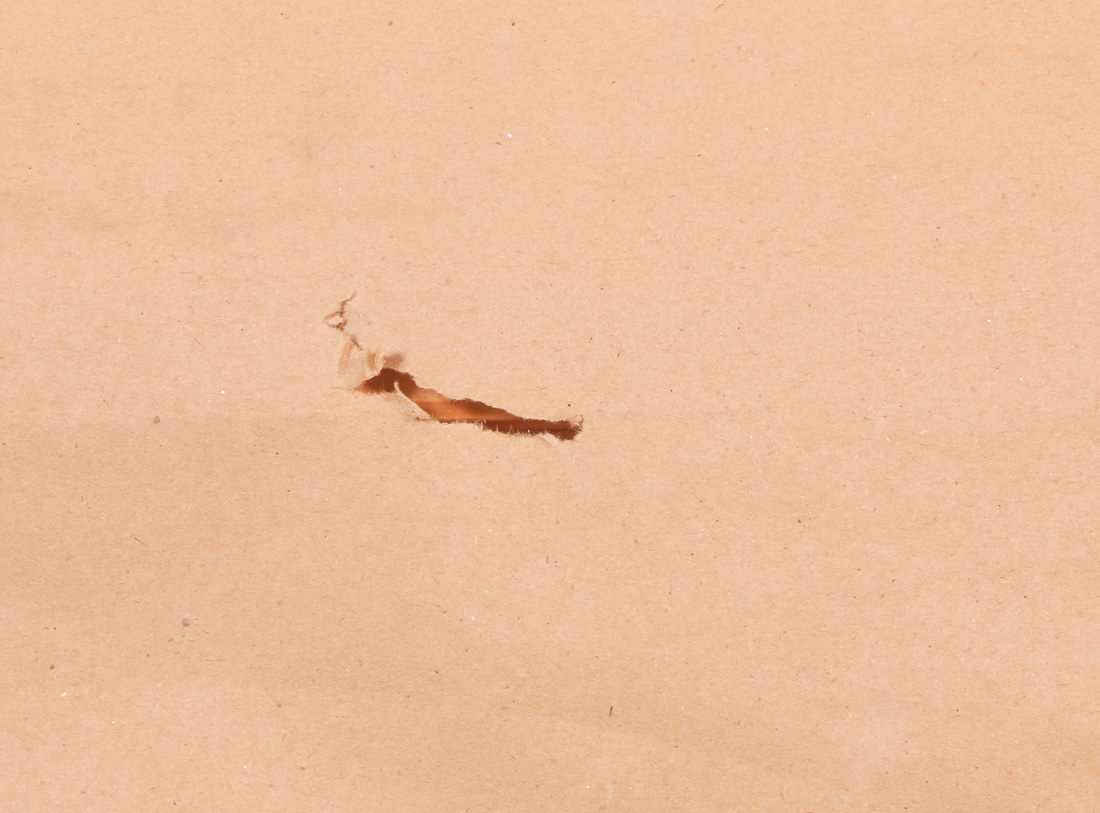 1992 Robert Wyland Limited Edition Signed Offset Lithograph "Surfing"