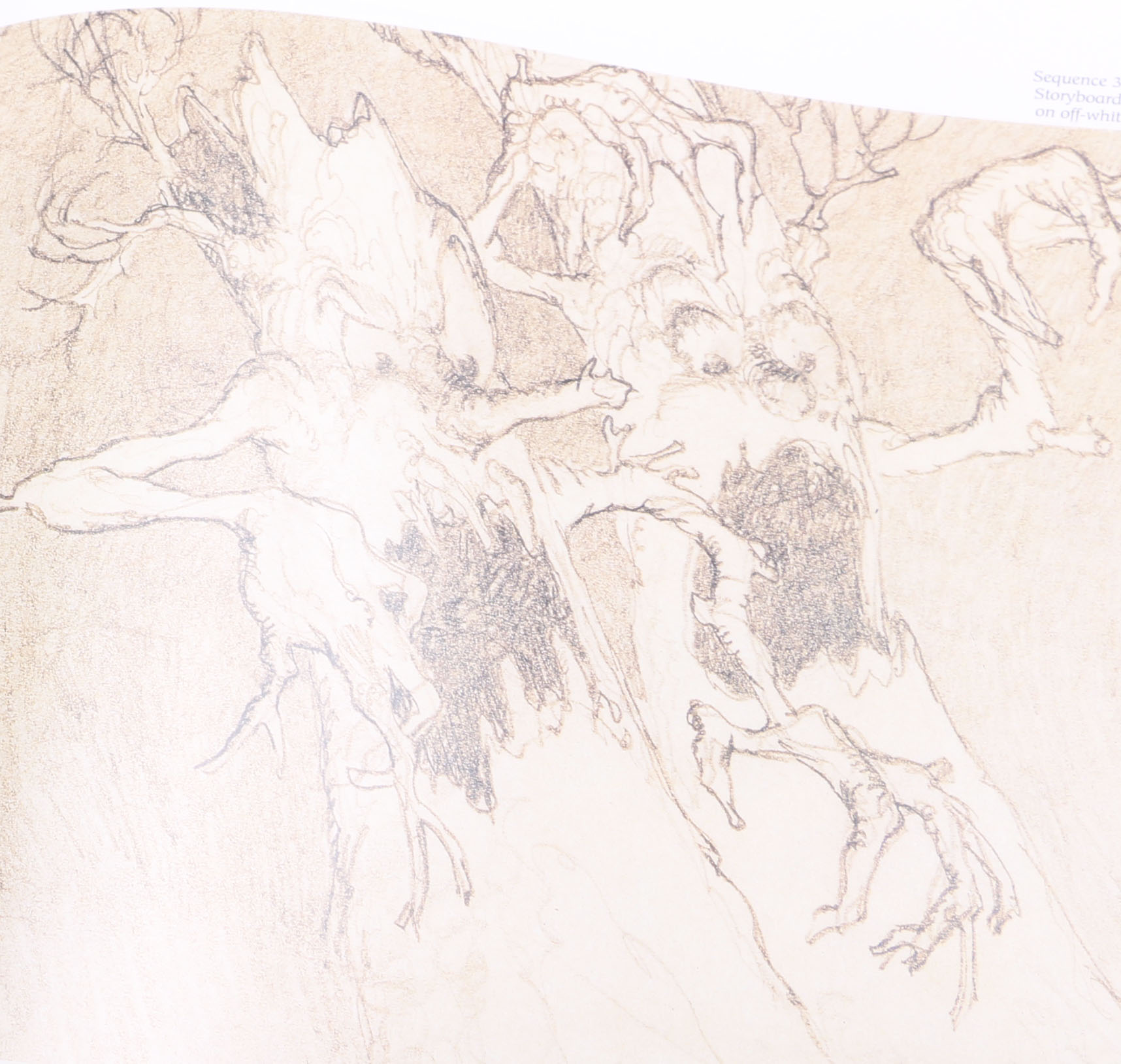 Assortment of Five Illustrated Disney Books