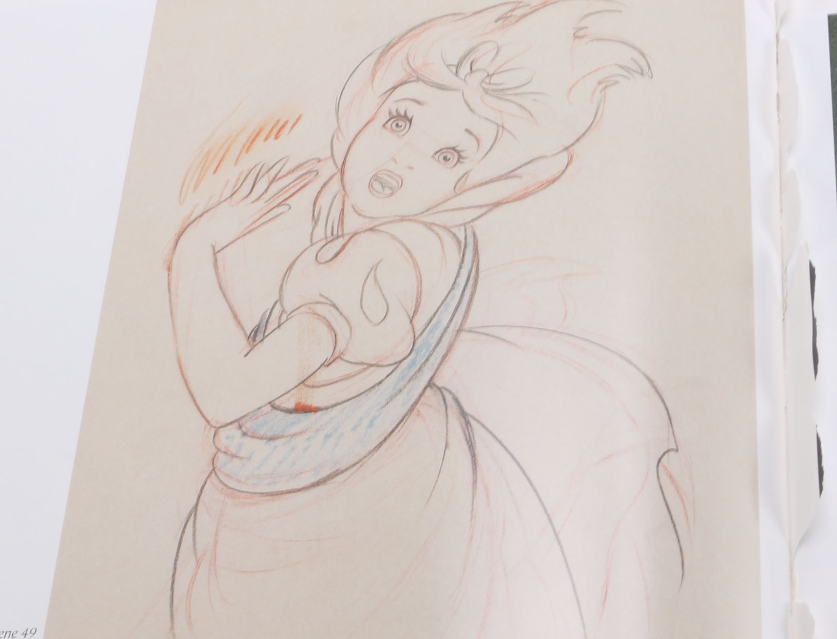 Assortment of Five Illustrated Disney Books