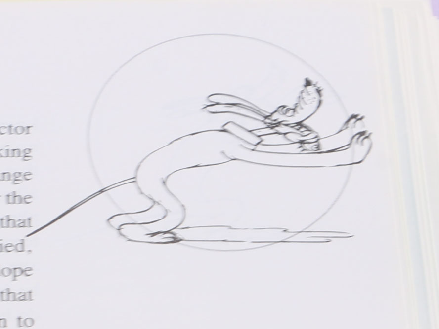 Assortment of Five Illustrated Disney Books