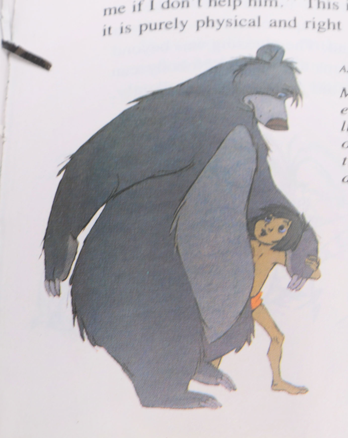 Assortment of Five Illustrated Disney Books