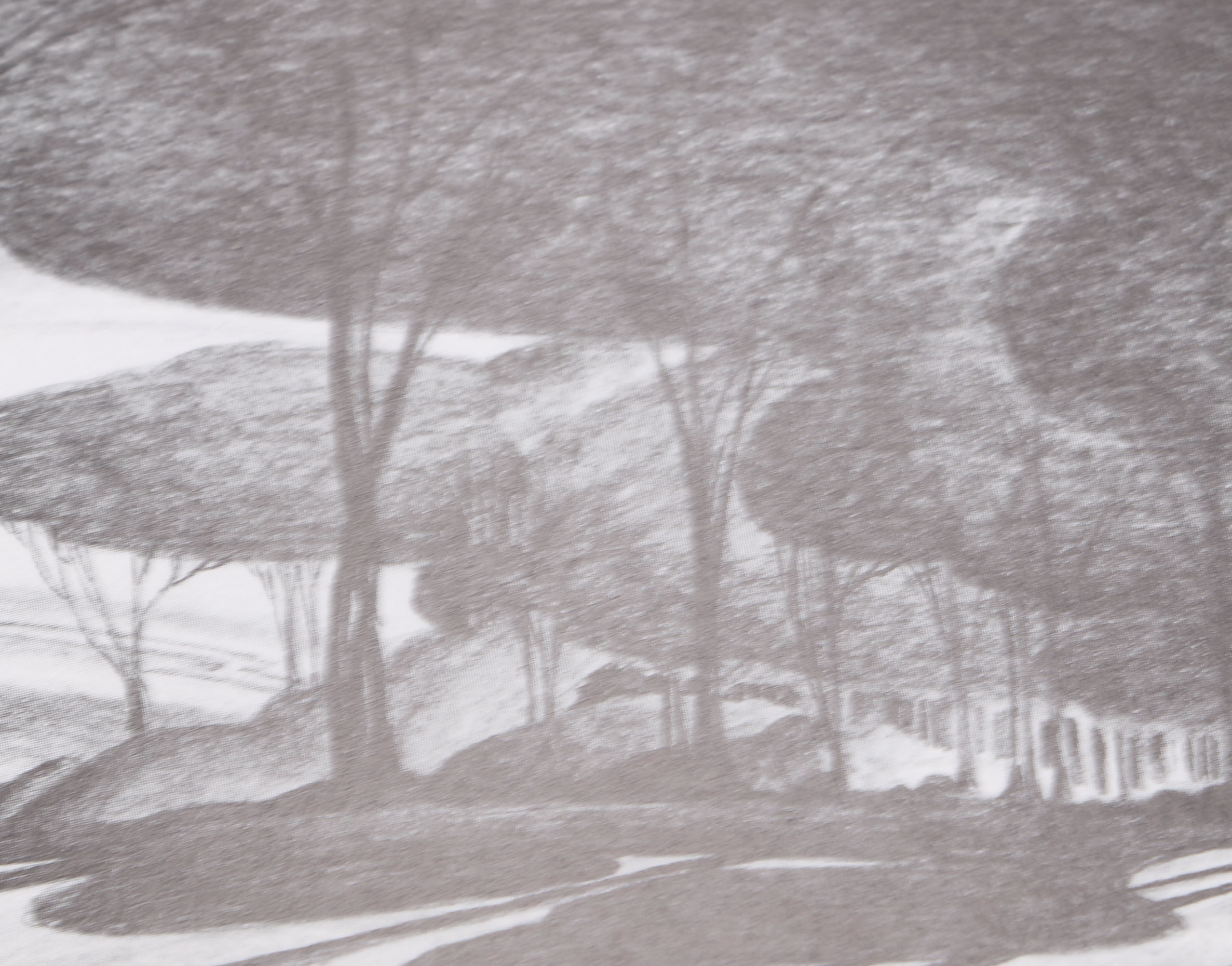 Assortment of Five Illustrated Disney Books