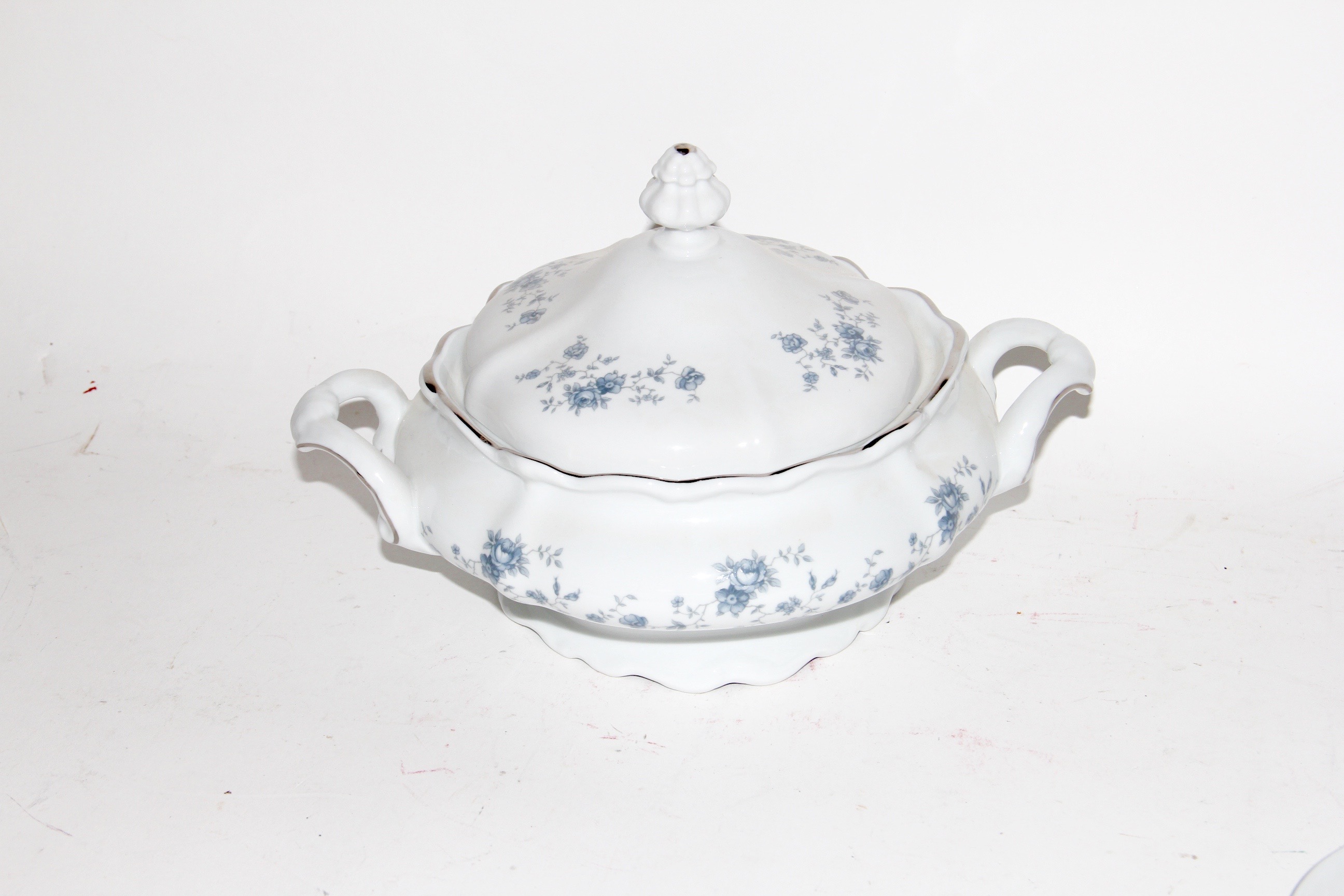 Johann Haviland "Blue Garland" China