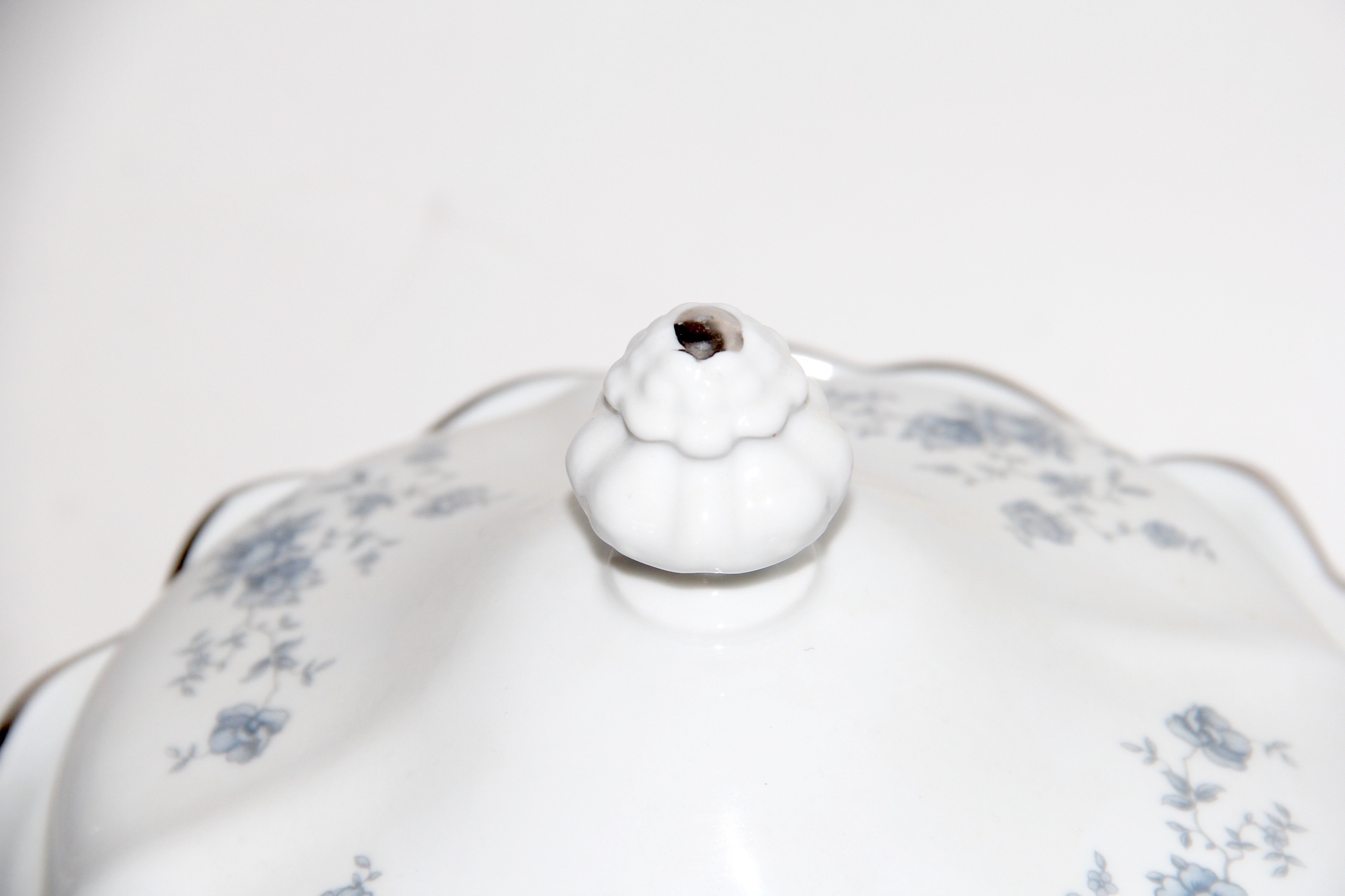 Johann Haviland "Blue Garland" China