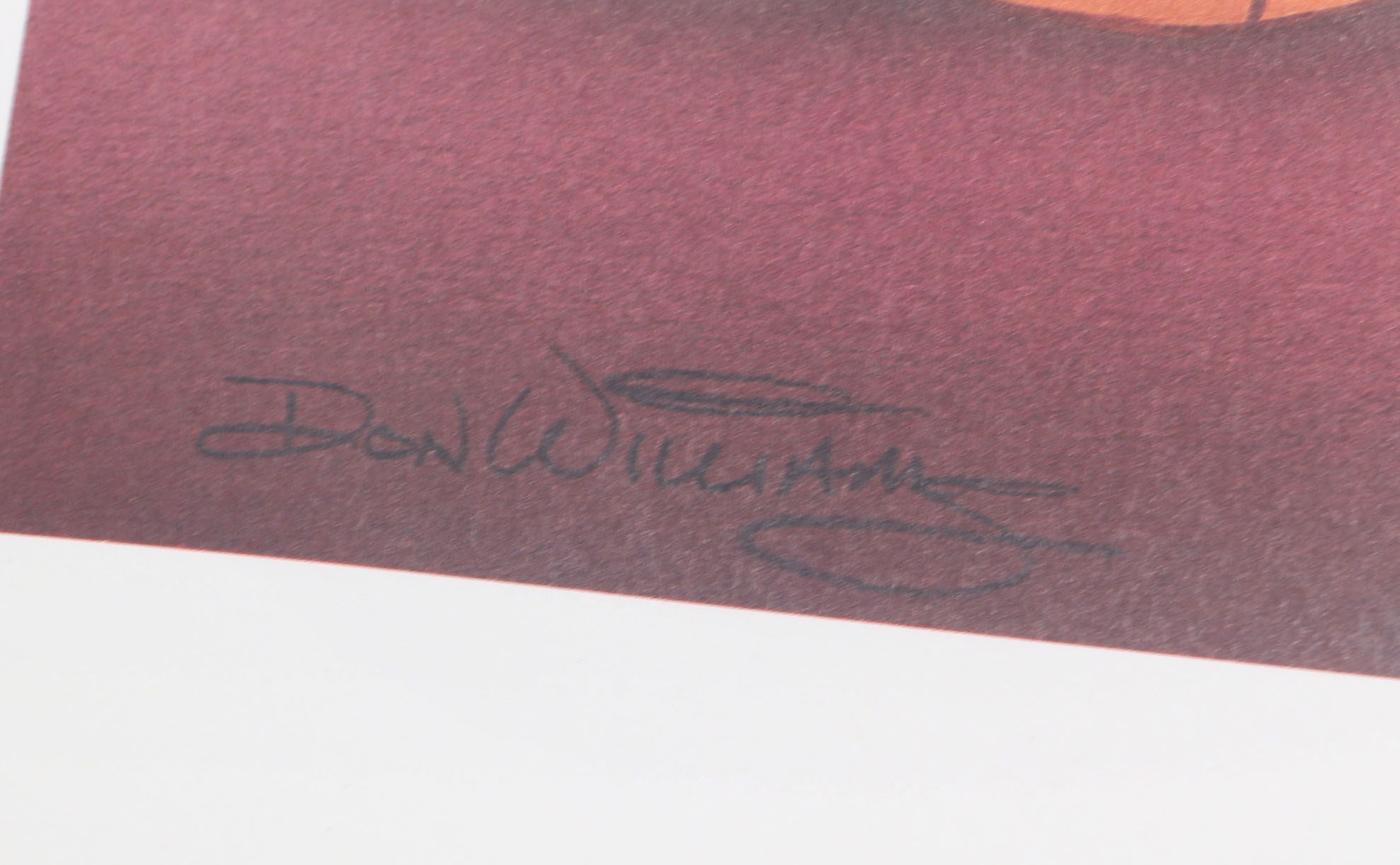 Don Williams Lithograph on Paper of Disney Characters at Epcot for New Year's 2000