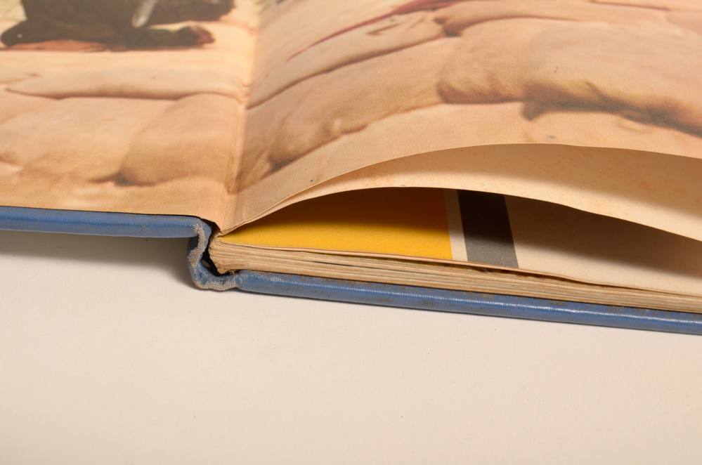 Collection of Vietnam War and Military Books