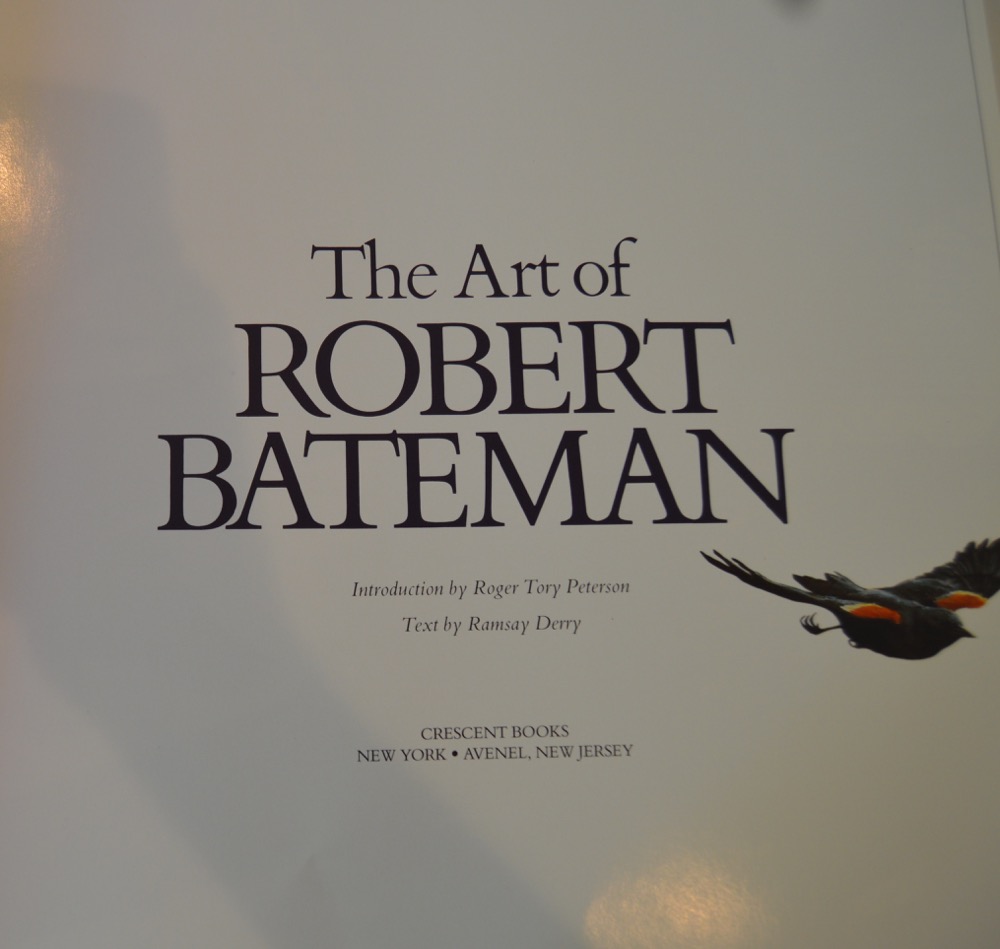 Art and Architecture Coffee Table Books