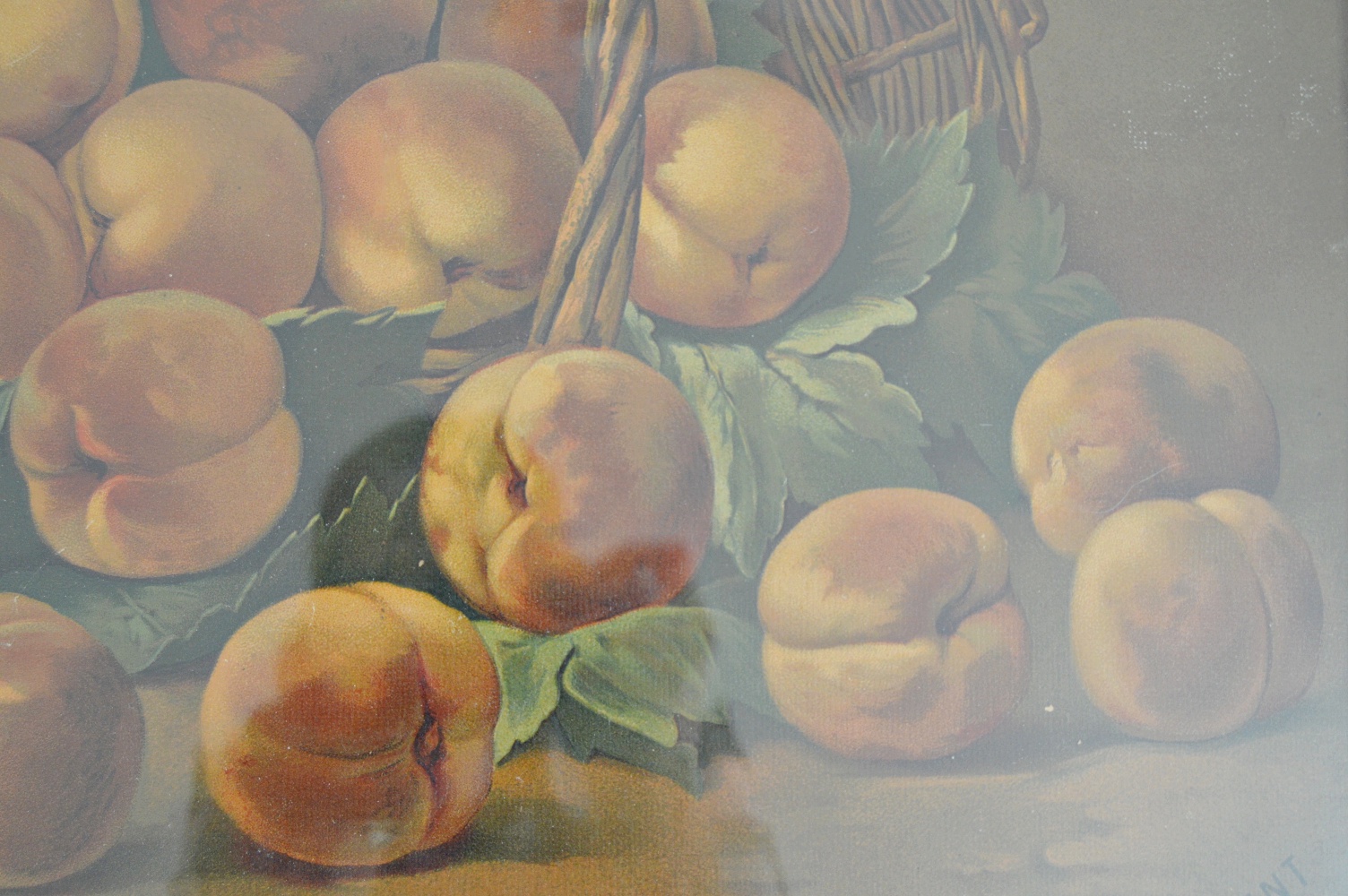 Original Signed Oil Pastel of Fruit