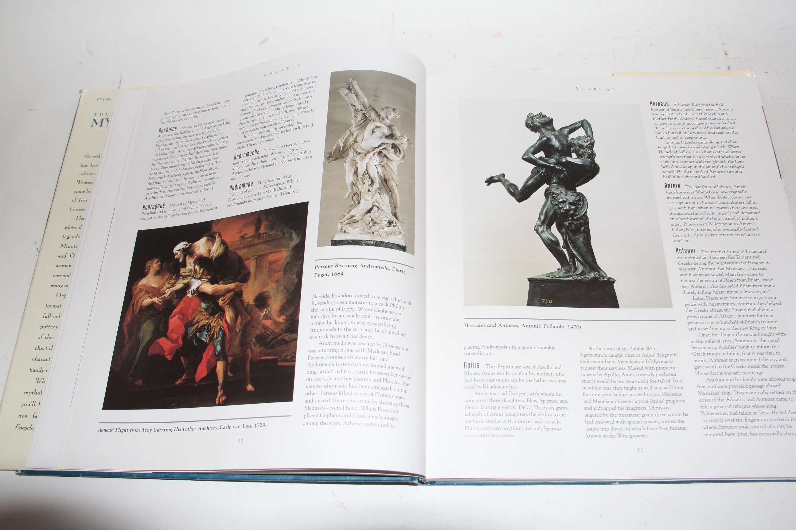 Collection of Coffee Table Books