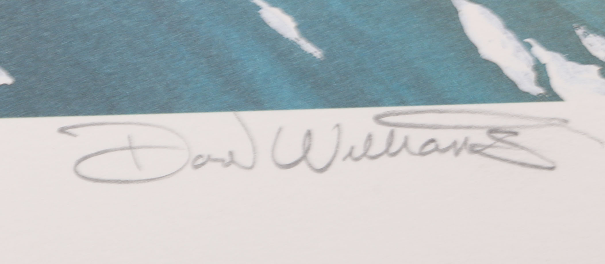 Signed by Don Williams Little Mermaid "Disney Magic" Theme