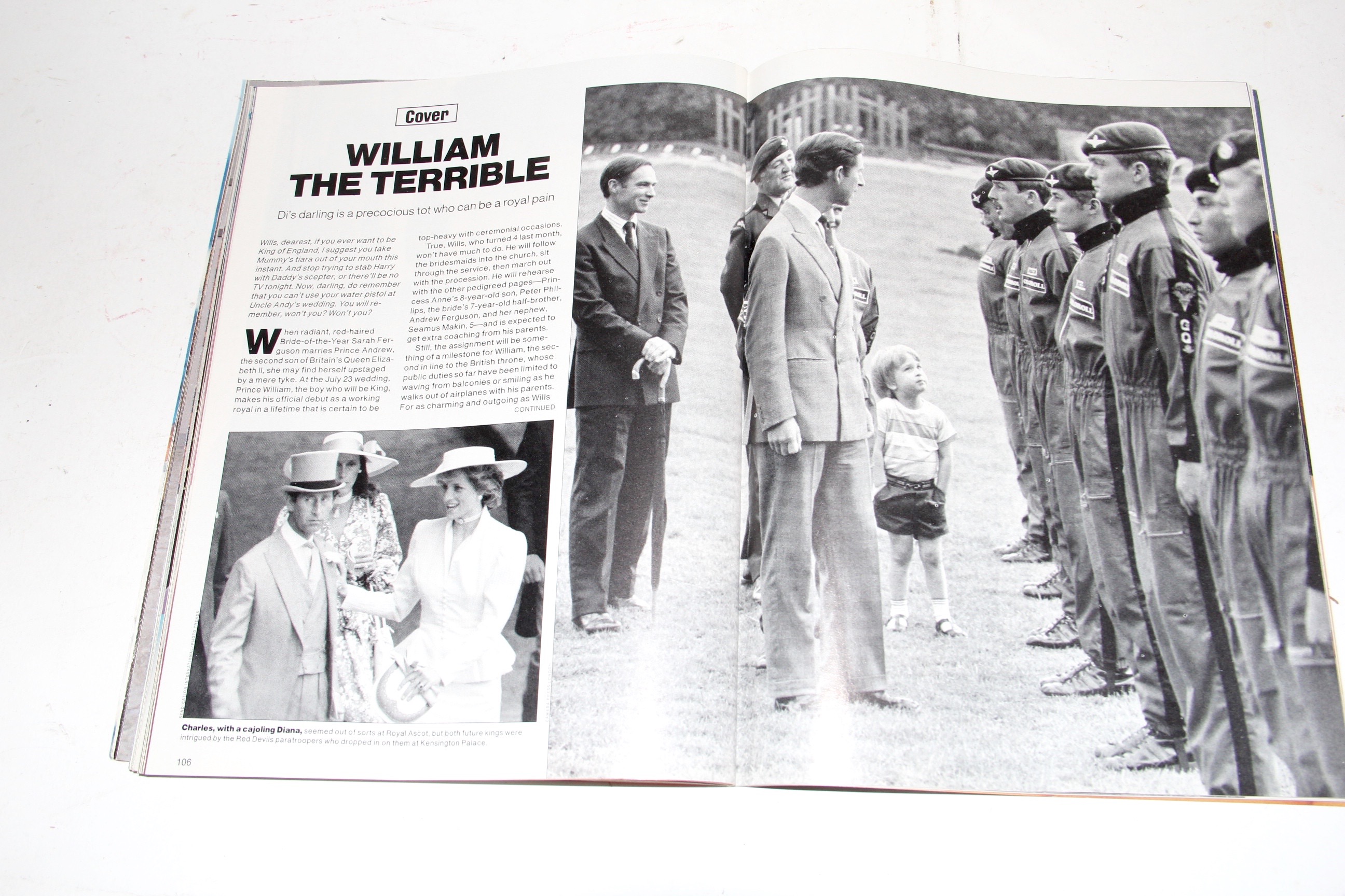 Collection of Princess Diana And Prince William Literature