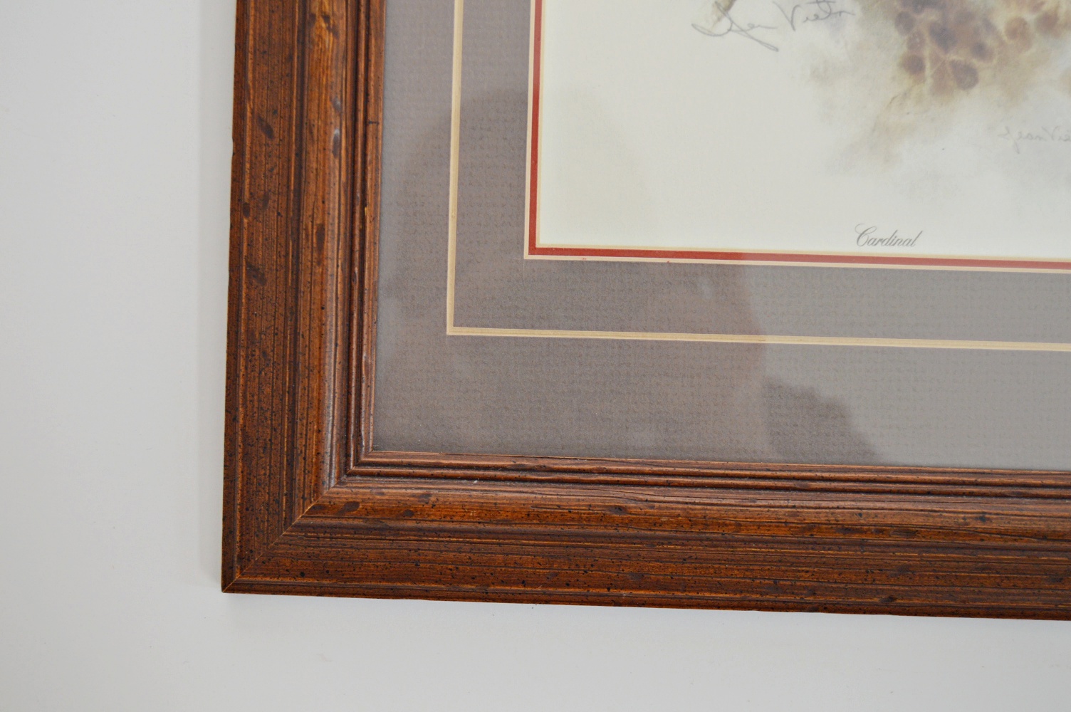 Signed Off Set Lithographic Print of a Cardinal