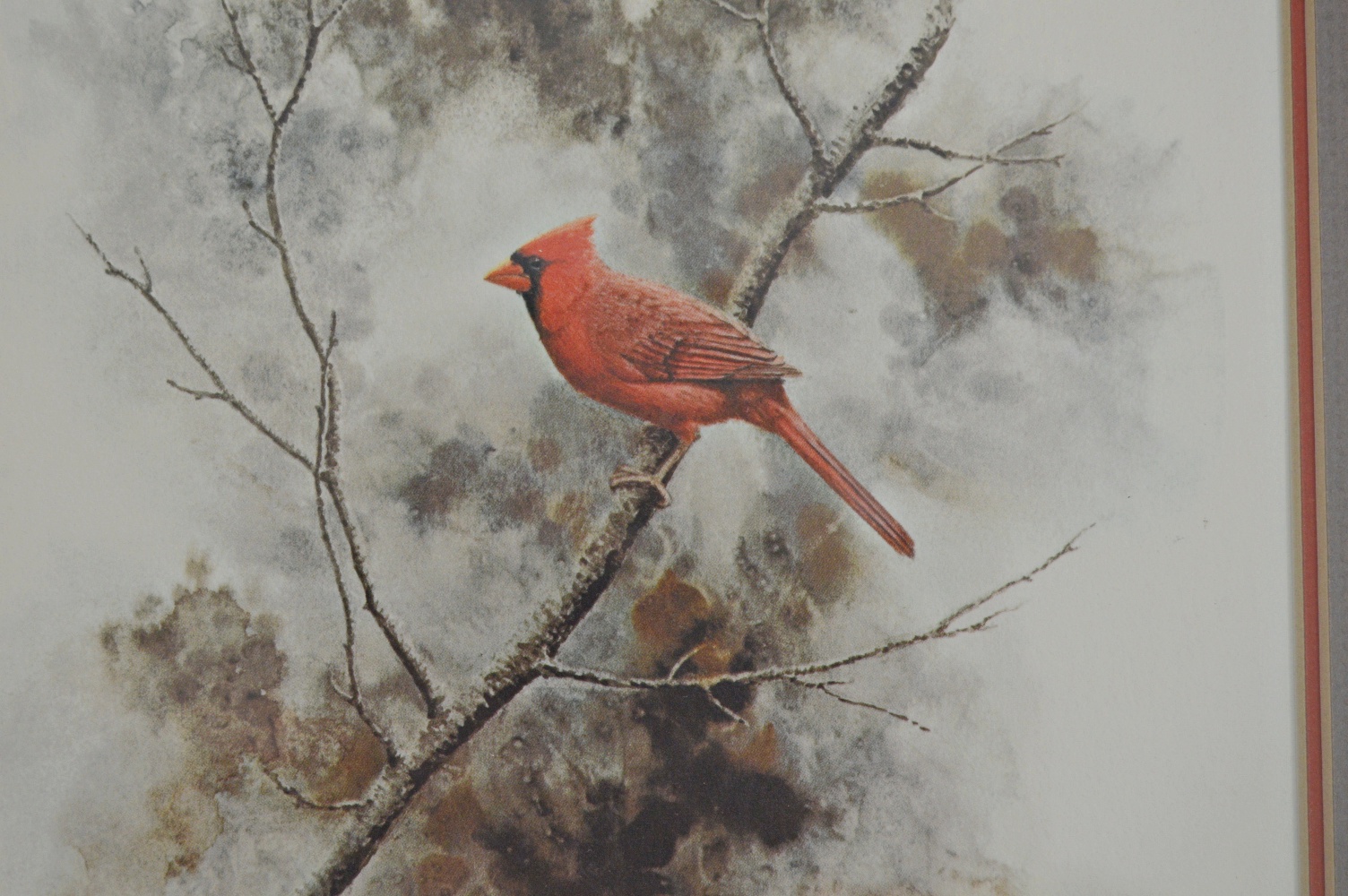 Signed Off Set Lithographic Print of a Cardinal