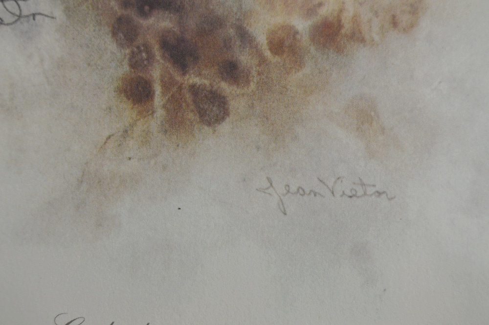 Signed Off Set Lithographic Print of a Cardinal