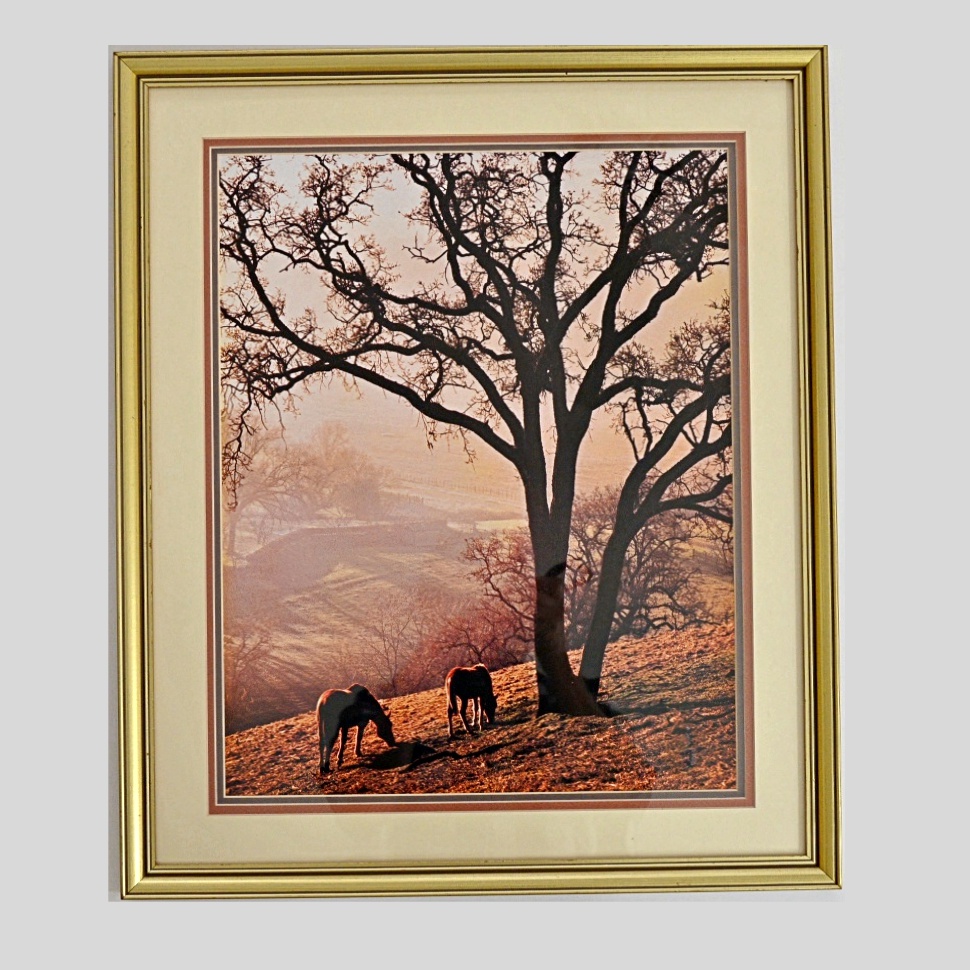 Color Photographic Print with Horses