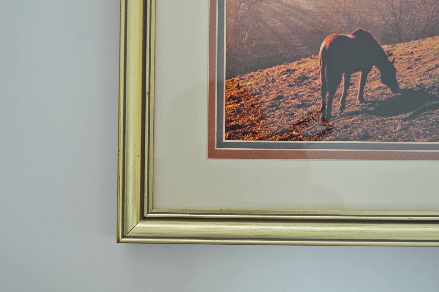 Color Photographic Print with Horses