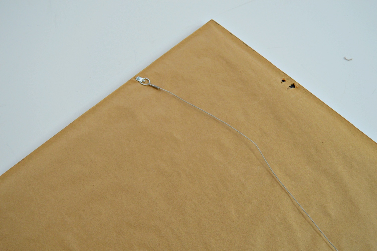 Color Photographic Print with Horses