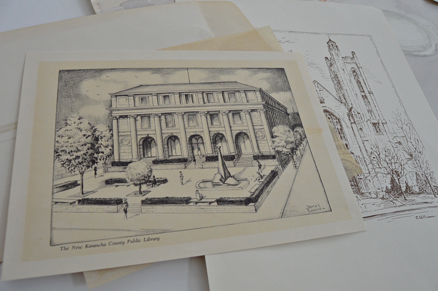 Off Set Prints and Original Seashell Watercolor