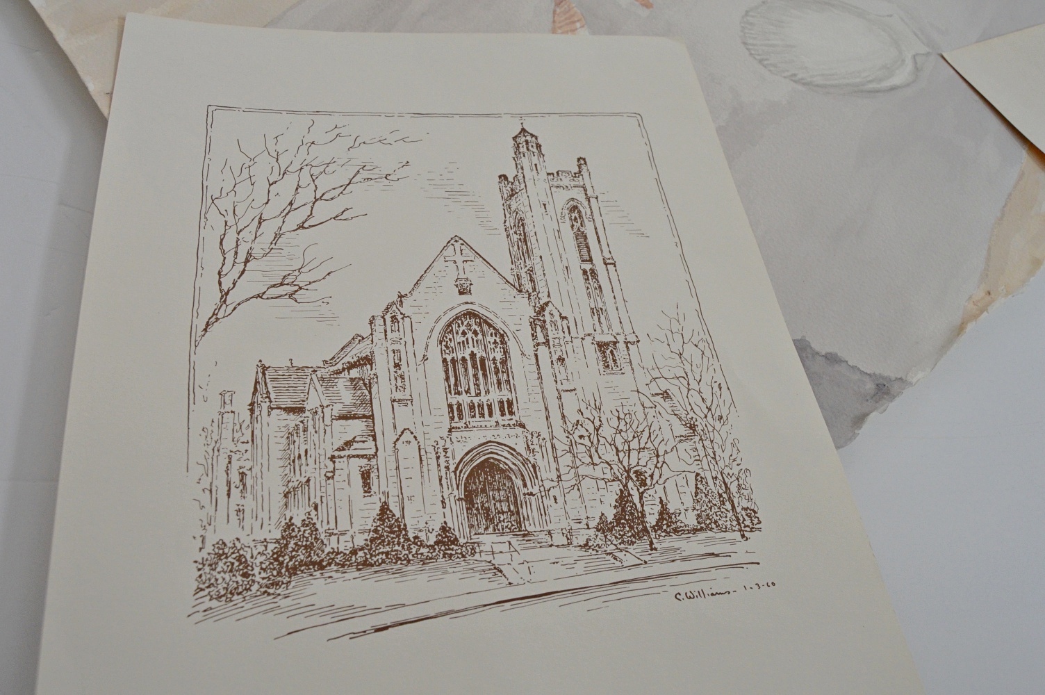 Off Set Prints and Original Seashell Watercolor