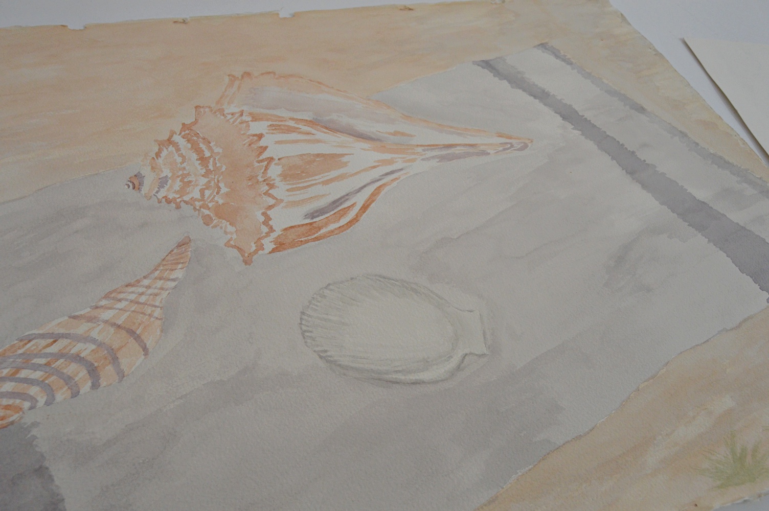 Off Set Prints and Original Seashell Watercolor