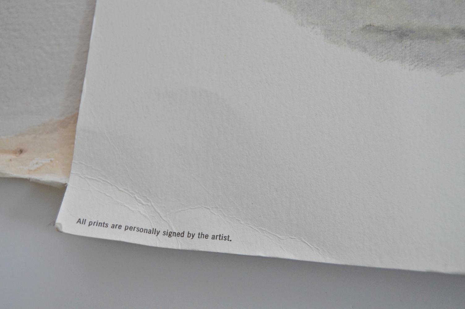 Off Set Prints and Original Seashell Watercolor