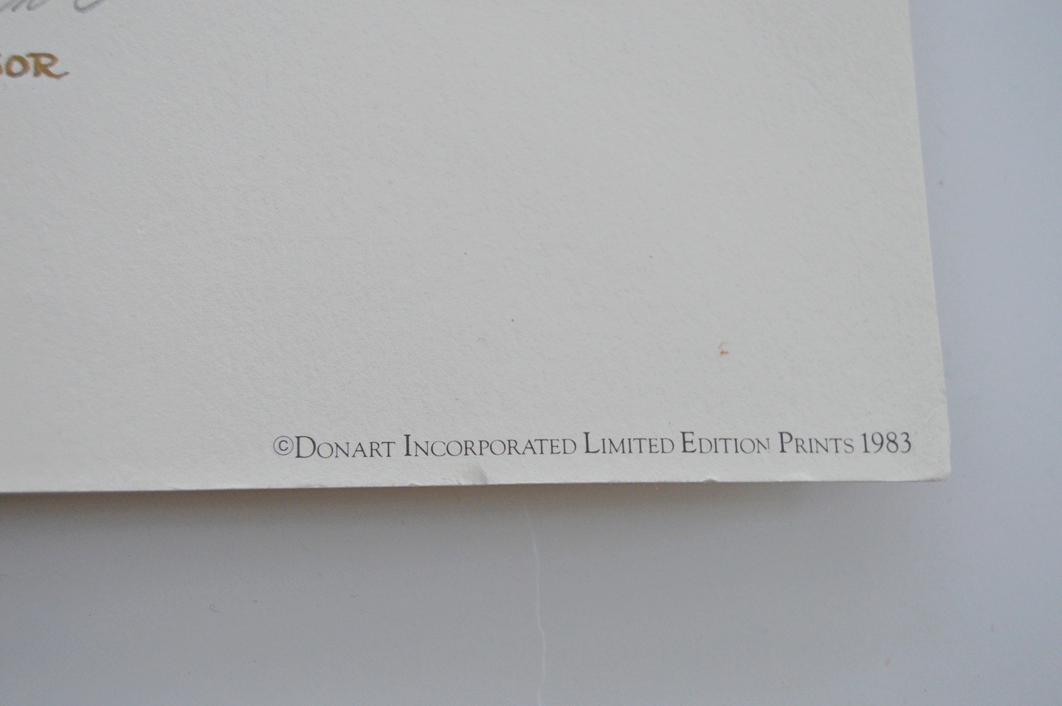 Off Set Prints and Original Seashell Watercolor