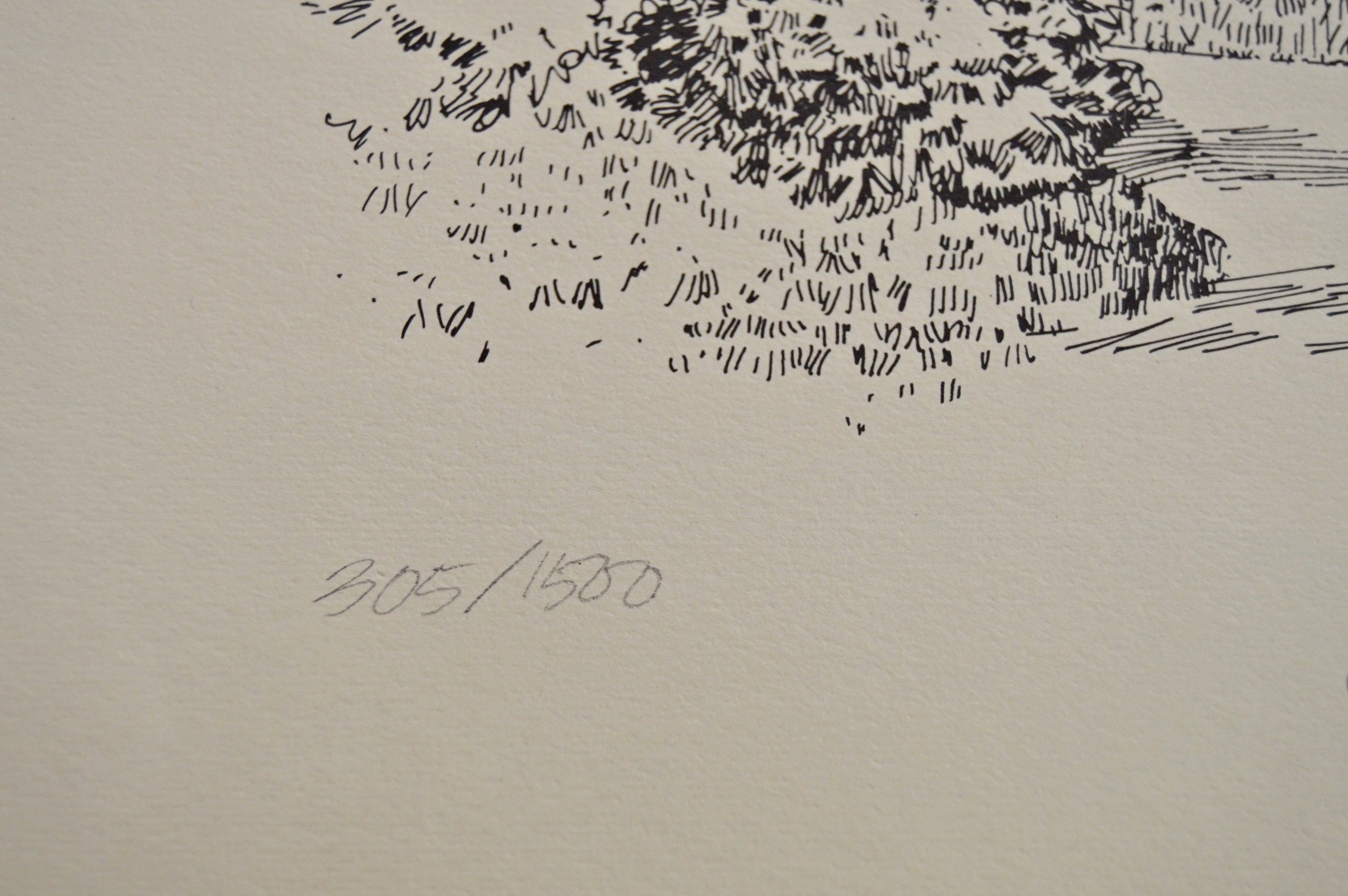 Off Set Prints and Original Seashell Watercolor