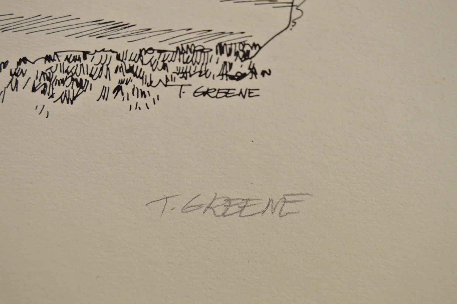 Off Set Prints and Original Seashell Watercolor