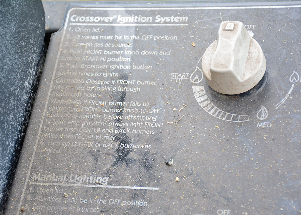 Weber "Silver" Gas Grill