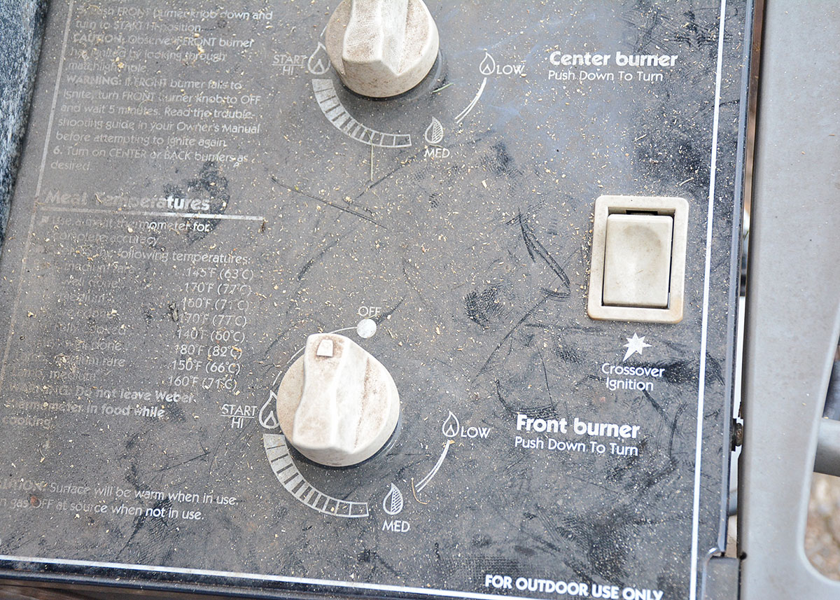 Weber "Silver" Gas Grill