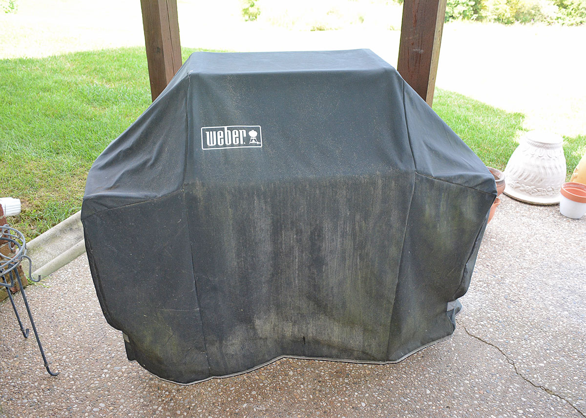 Weber "Silver" Gas Grill