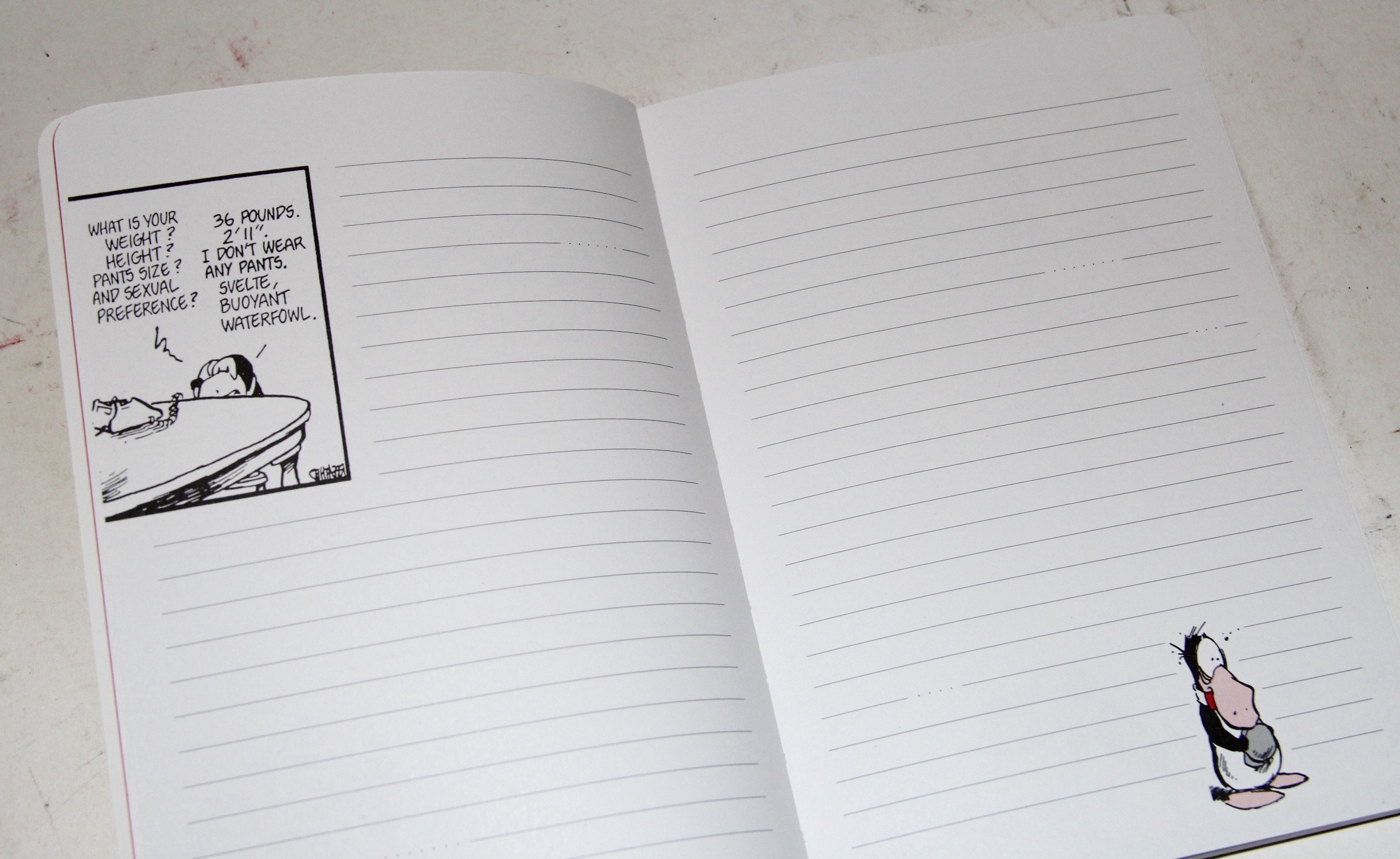 "Opus The Penguin" Notebook and Set of Postcards