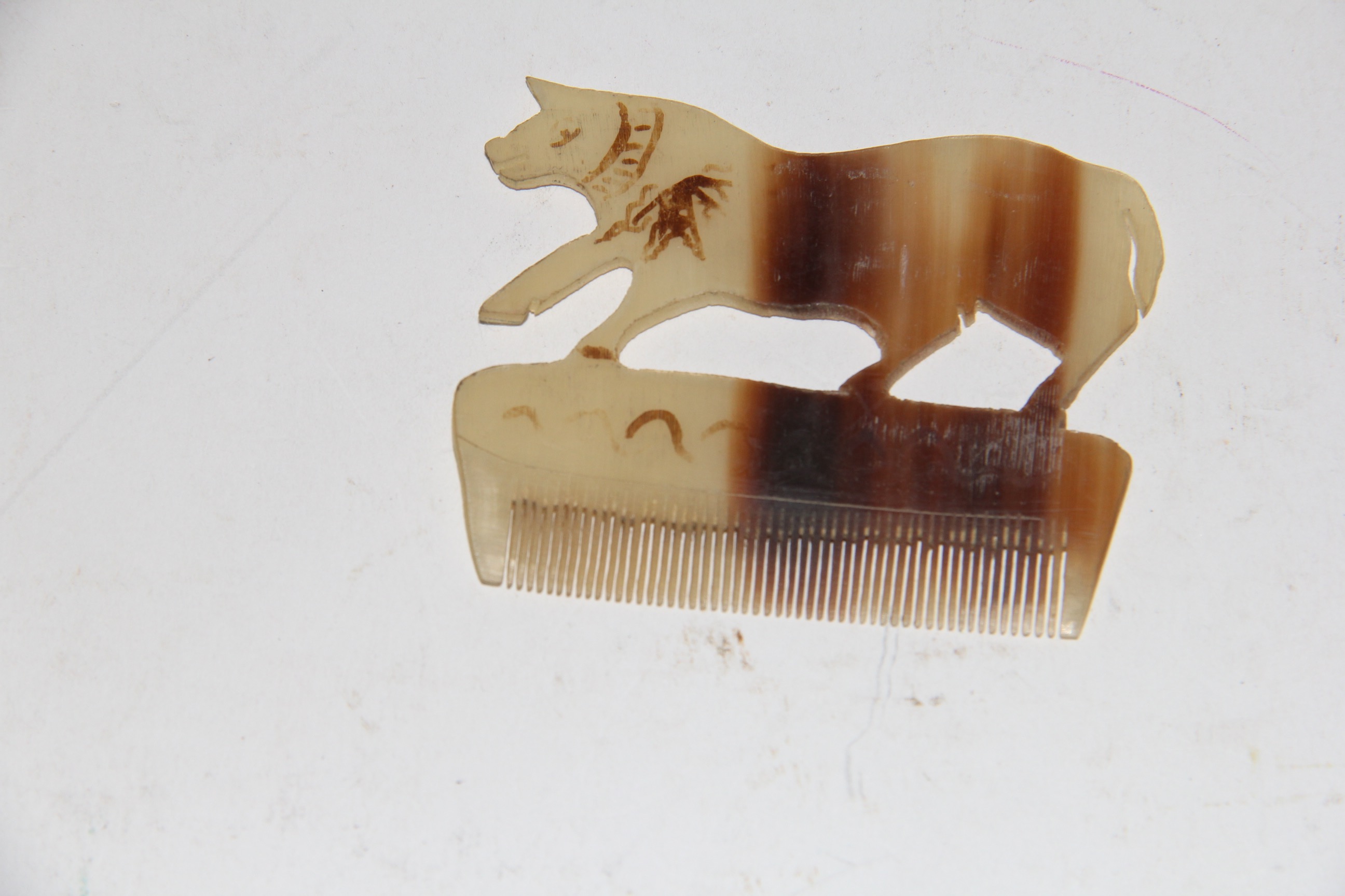 Collection of Animal Decor