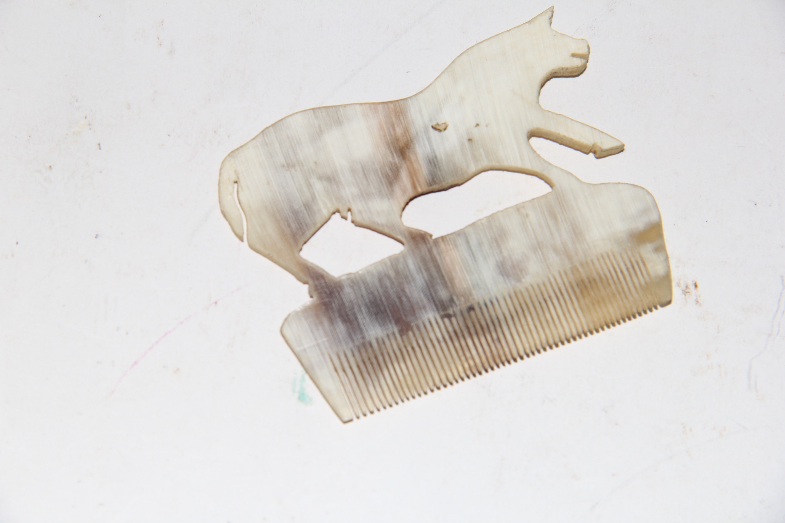 Collection of Animal Decor