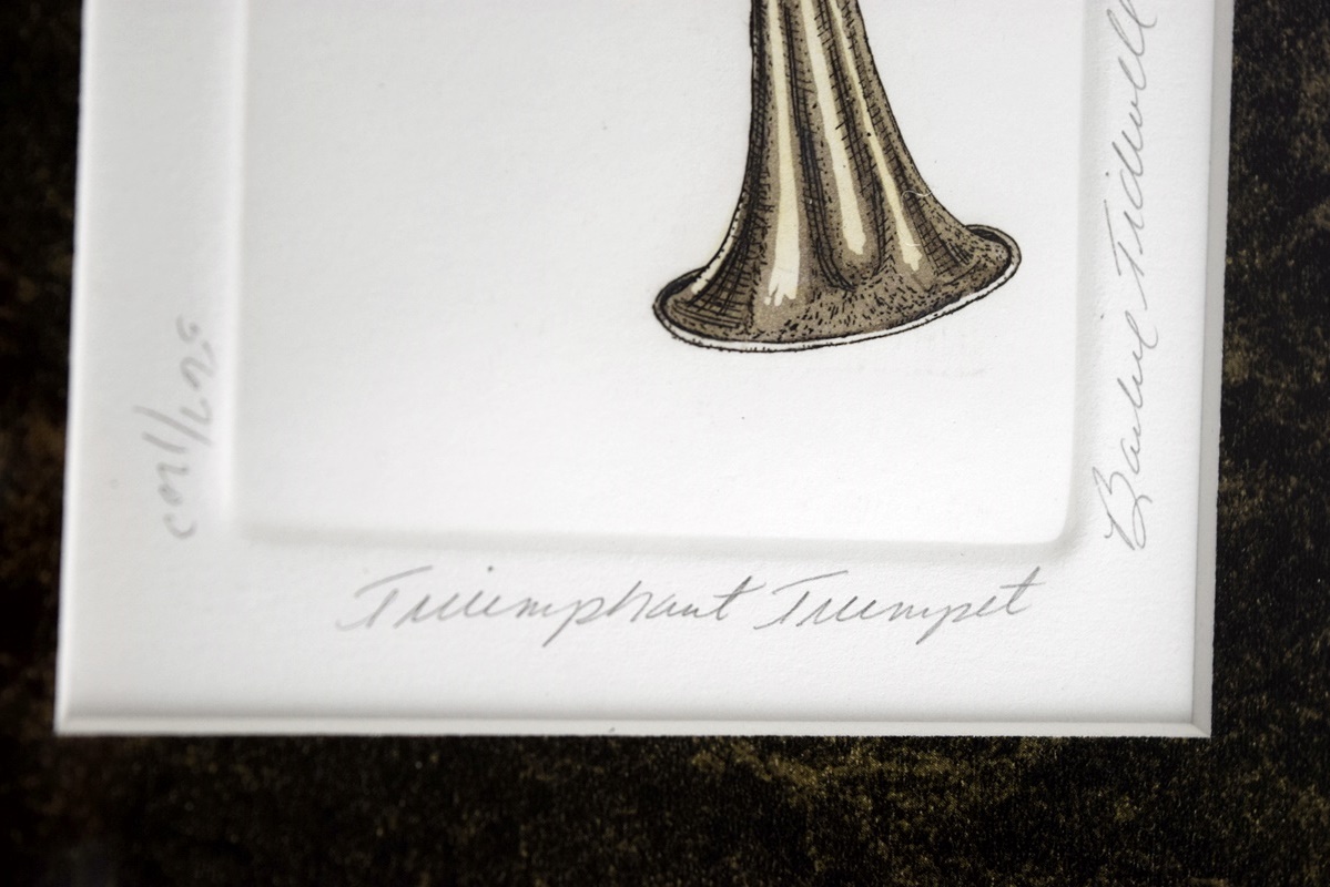 Eight Bailey Tidwell Musical Instrument Prints, Signed, Numbered and Beautifully Framed