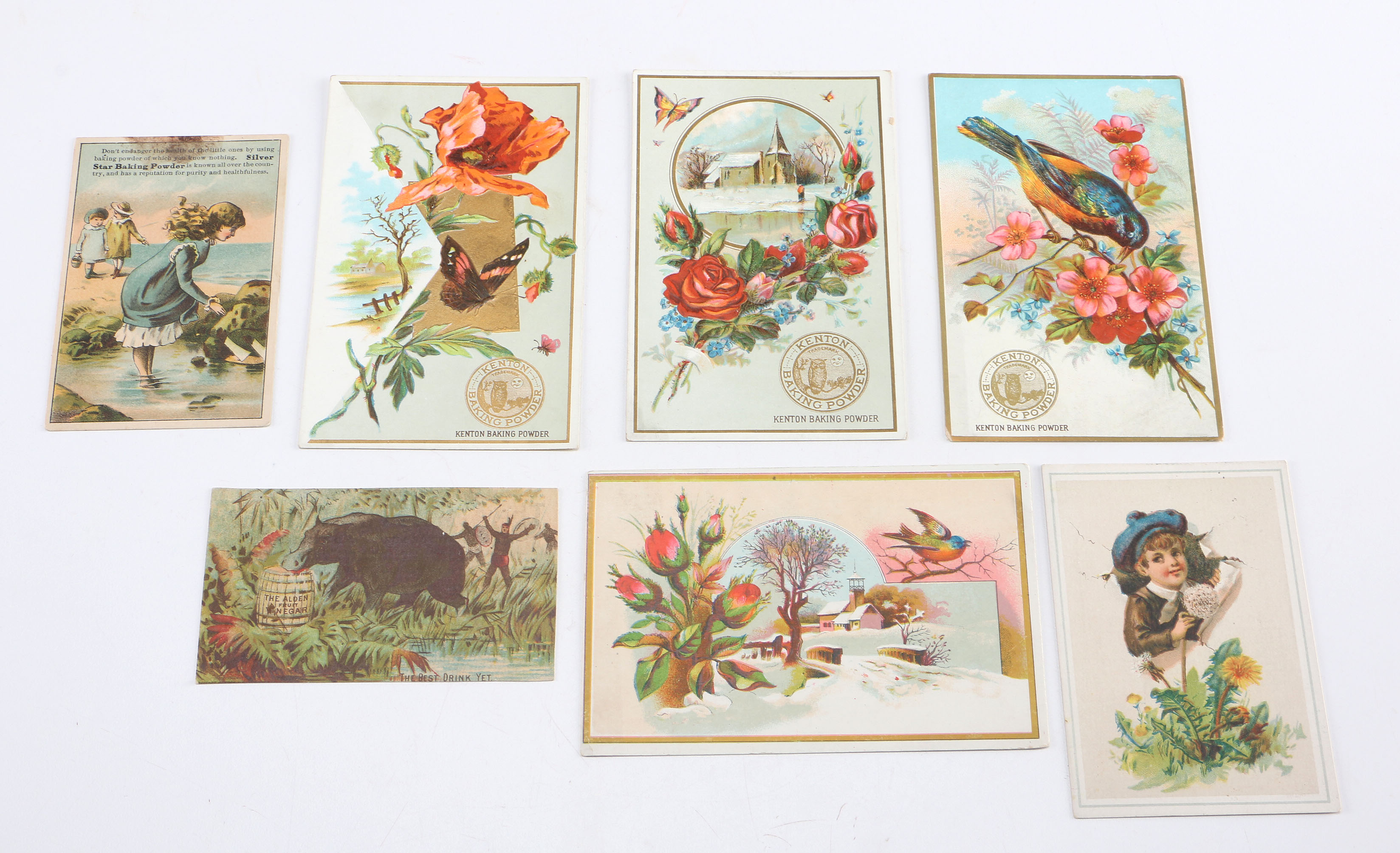 1950s Walzflex "TLR" Camera