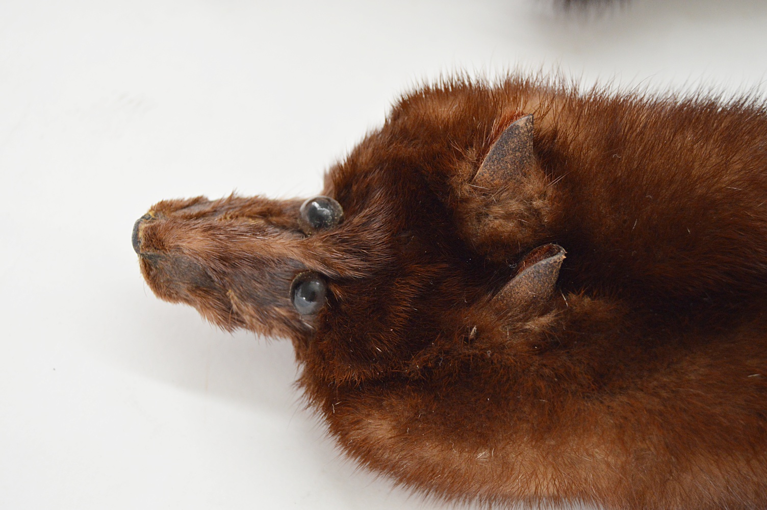 1950s Three-Pelt Ranch Mink Stole