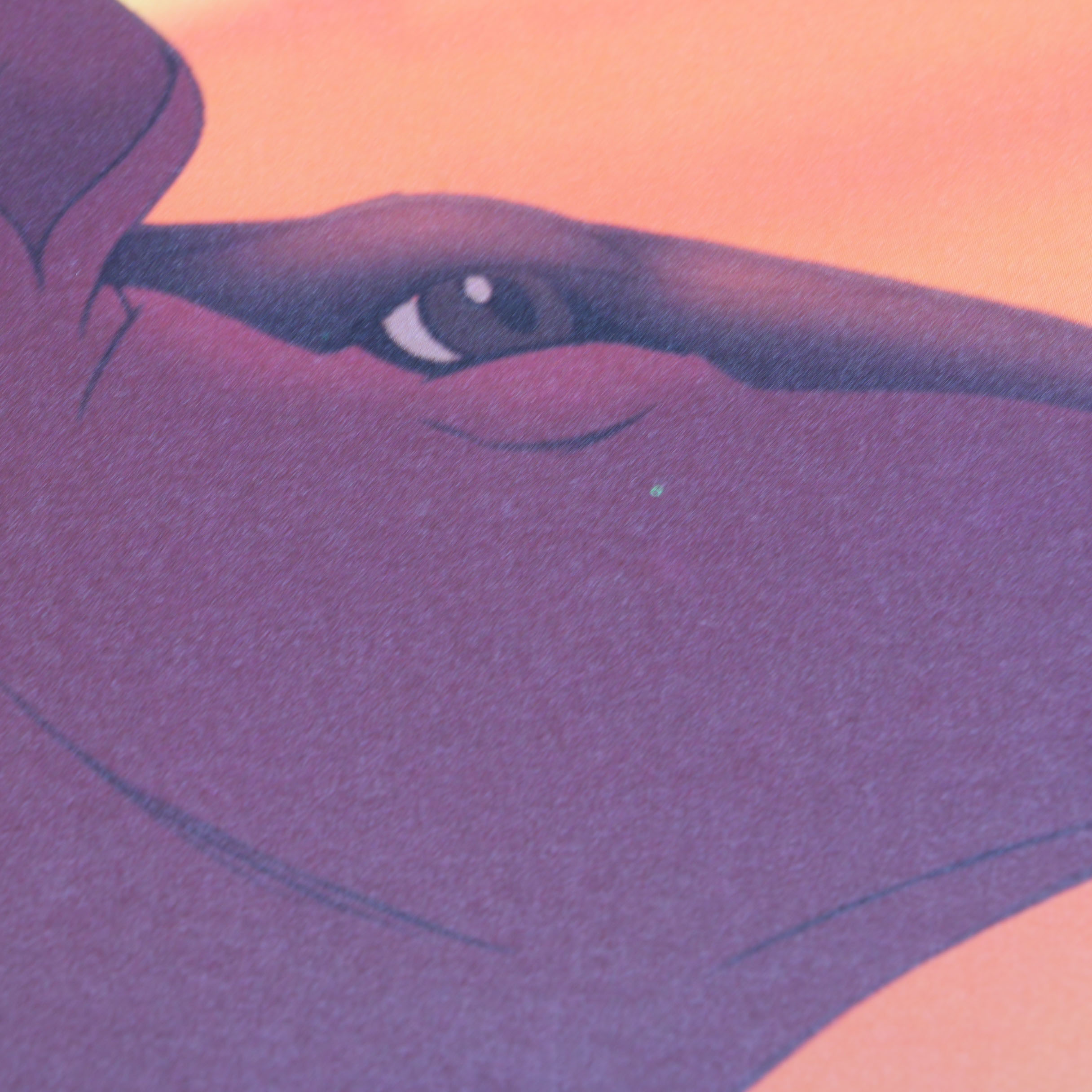 Signed First Limited Edition "The Art of The Lion King" Book