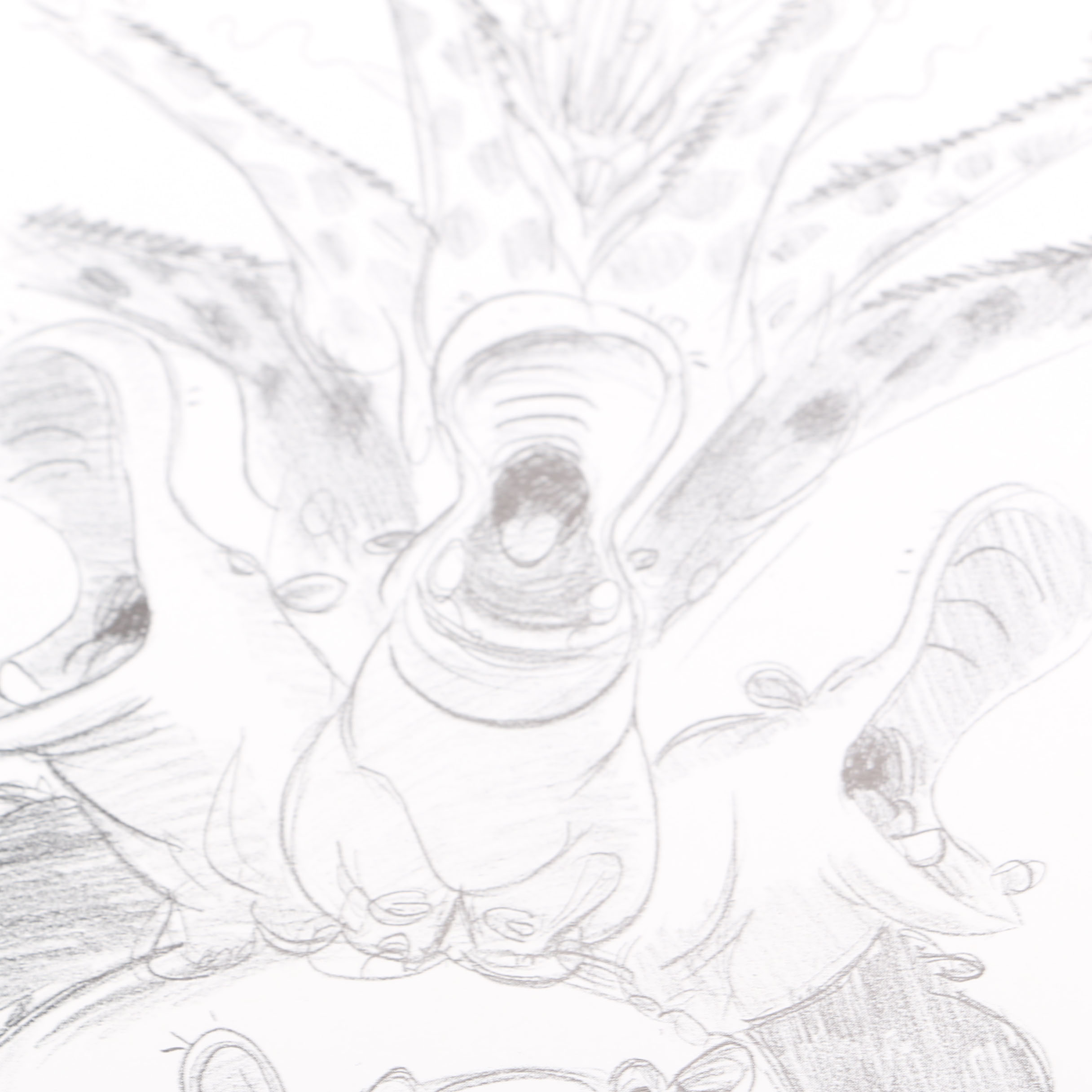 Signed First Limited Edition "The Art of The Lion King" Book