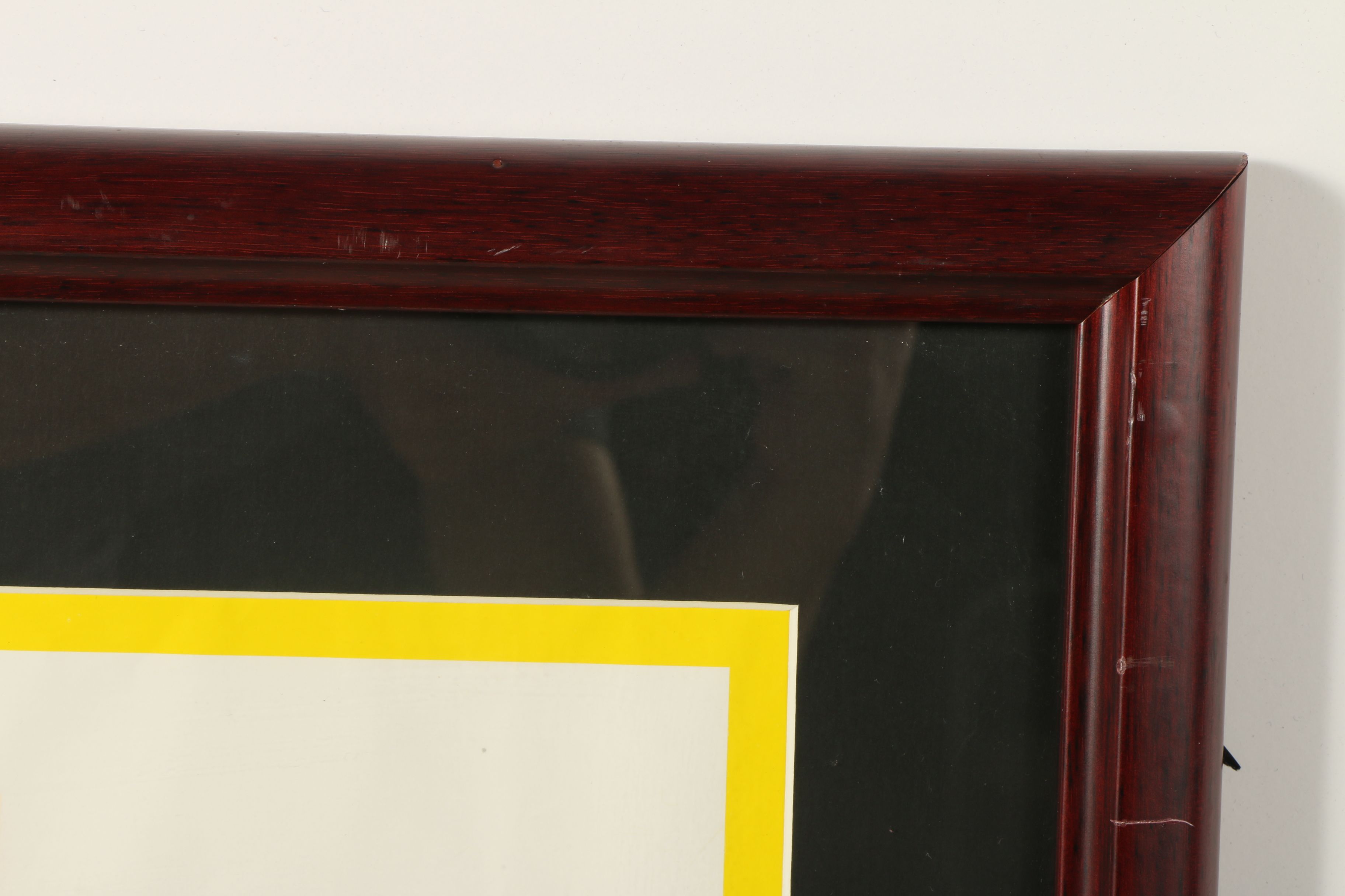 George Plimpton signed "The Paper Lion" Movie Poster