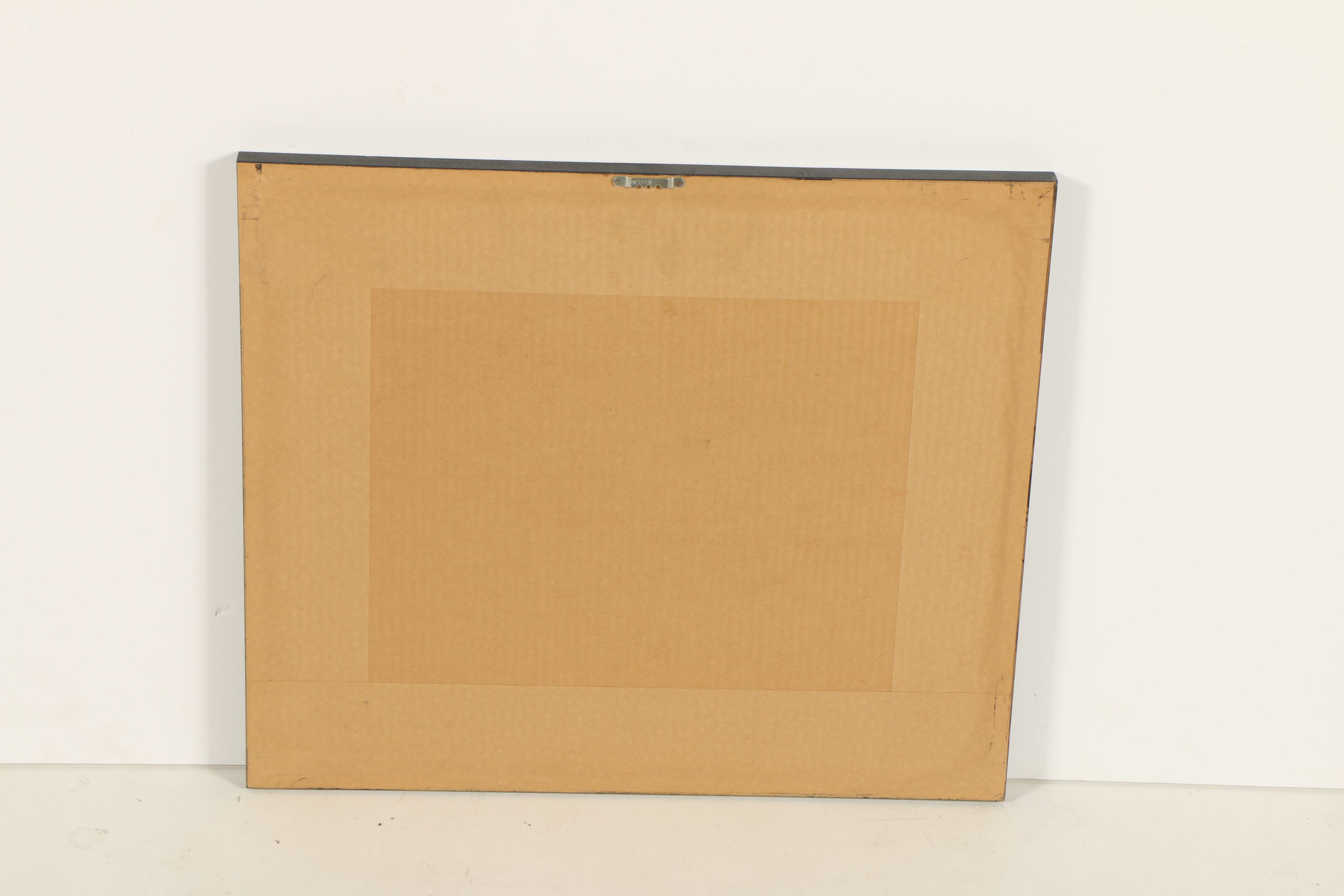 Collection of Framed Mola Embroideries