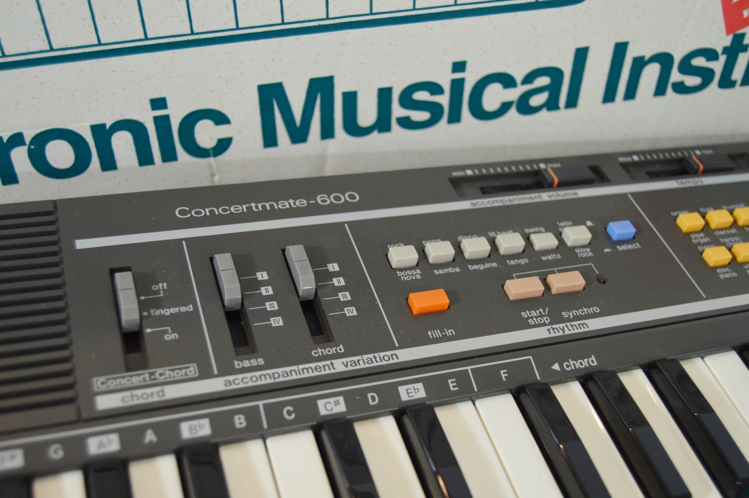 Realistic Electronic Keyboard and Instructional Books