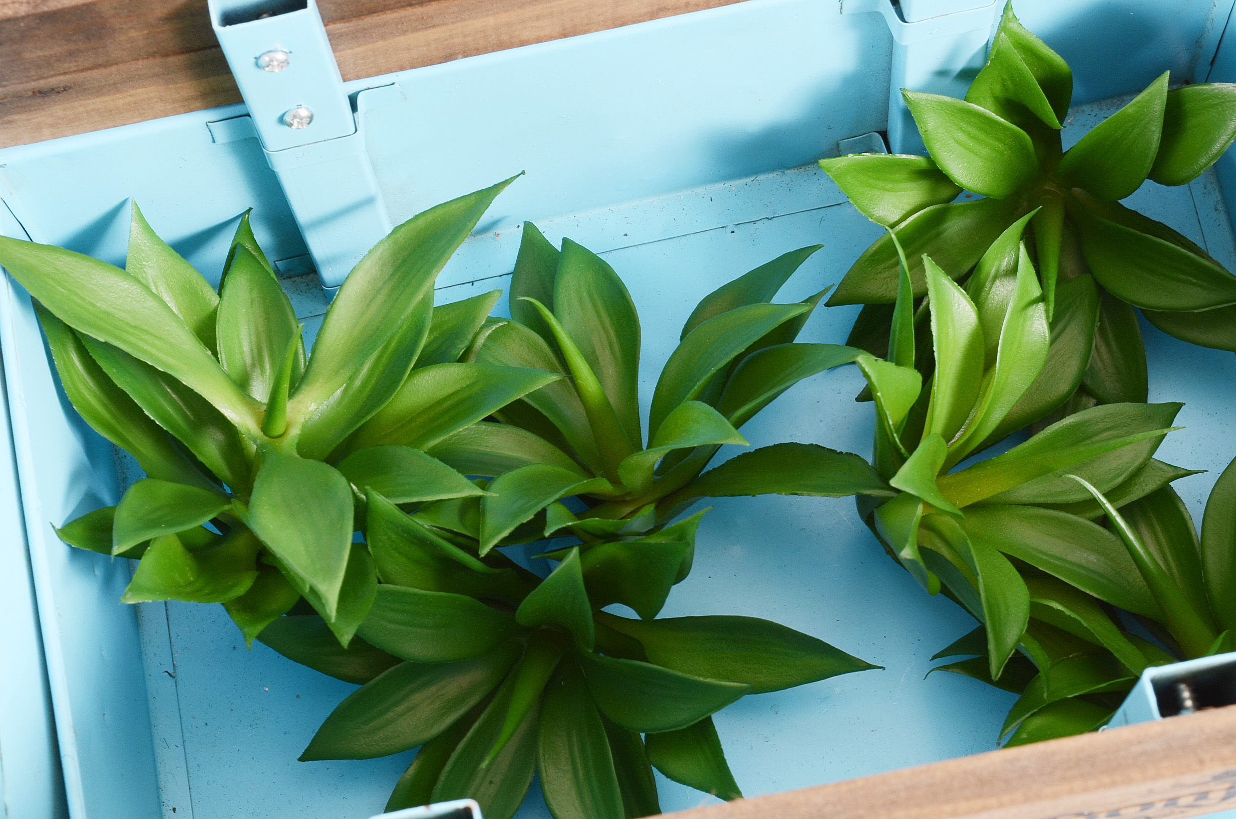 Don Julio Tequila Truck Replica