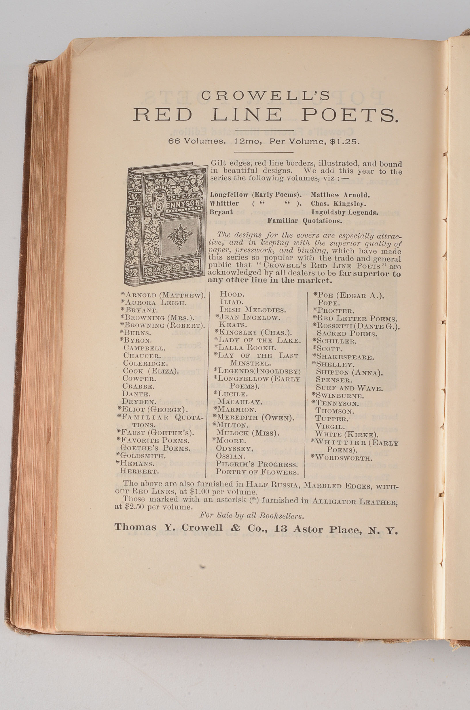 1886 First Edition in English of "Anna Karenina" by Tolstoy