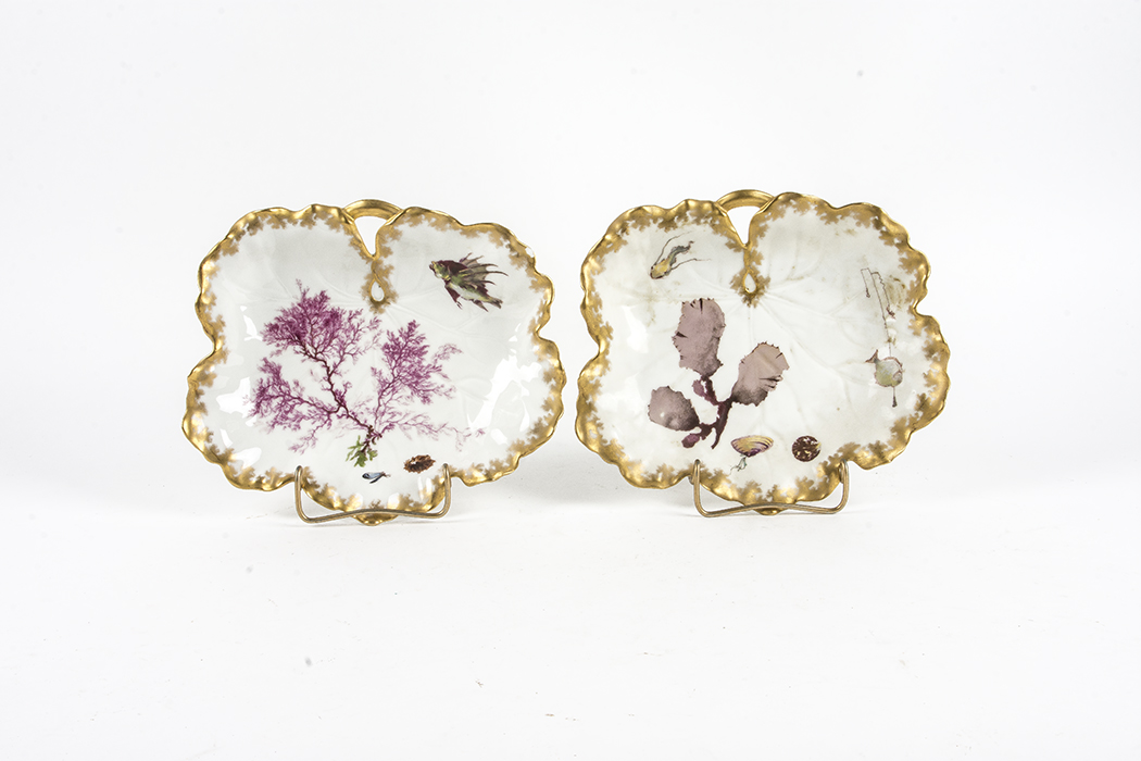 Pair of Limoges Shell Display Plates