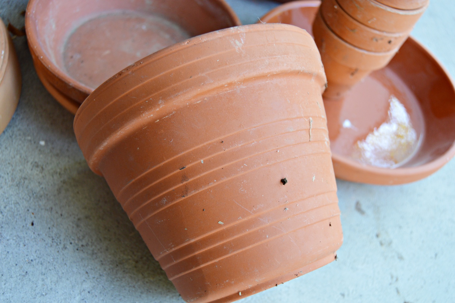Gardening Pots with Italian, 1940s Dish Planters