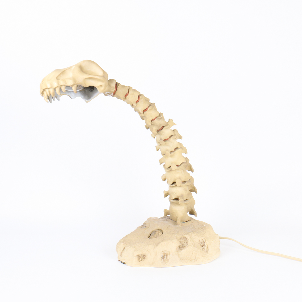 Dinosaur Skeleton-Style  Lamp