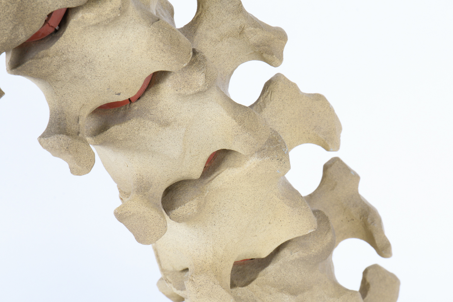 Dinosaur Skeleton-Style  Lamp