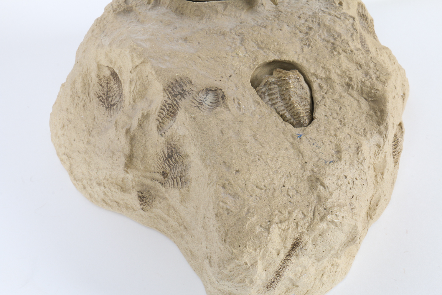 Dinosaur Skeleton-Style  Lamp