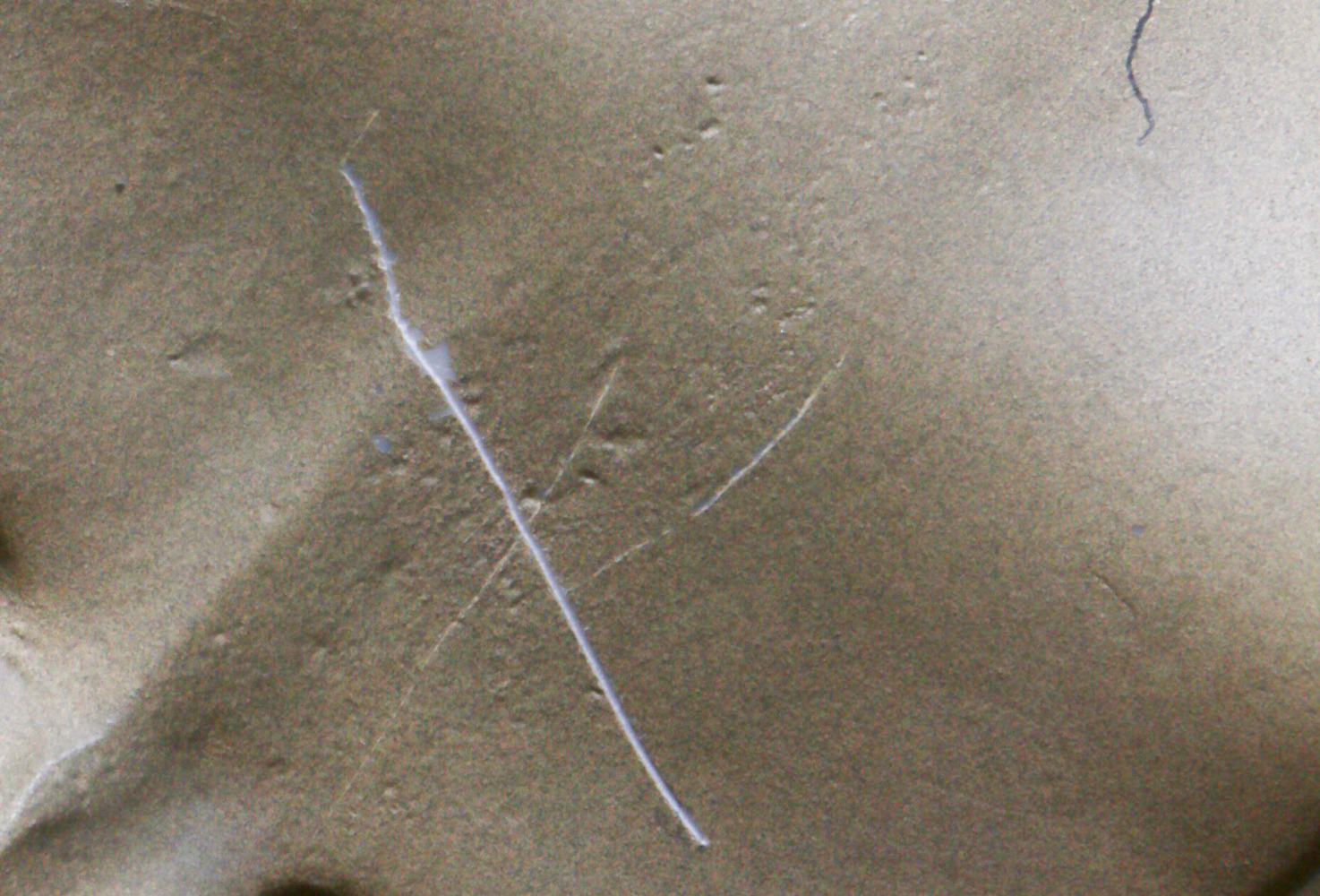 Dinosaur Skeleton-Style  Lamp